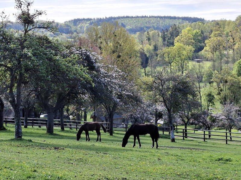 Haras De La Valterie - photo 2