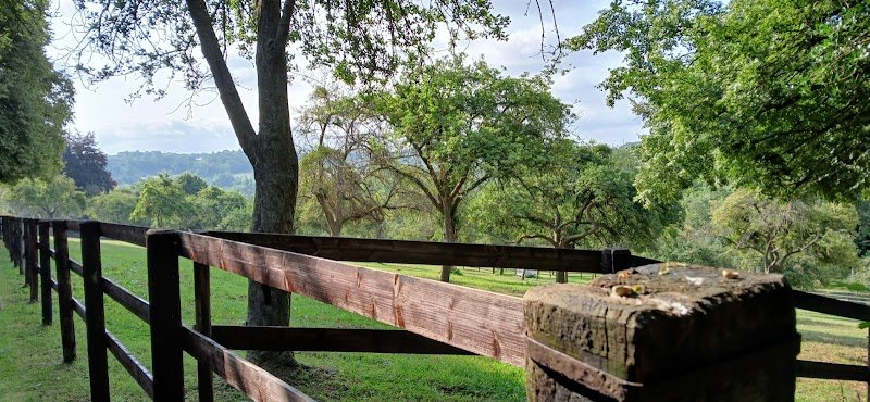 Haras De La Valterie - photo 3