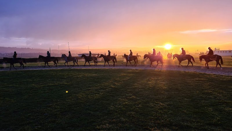 Écurie Stéphane Wattel - photo 3