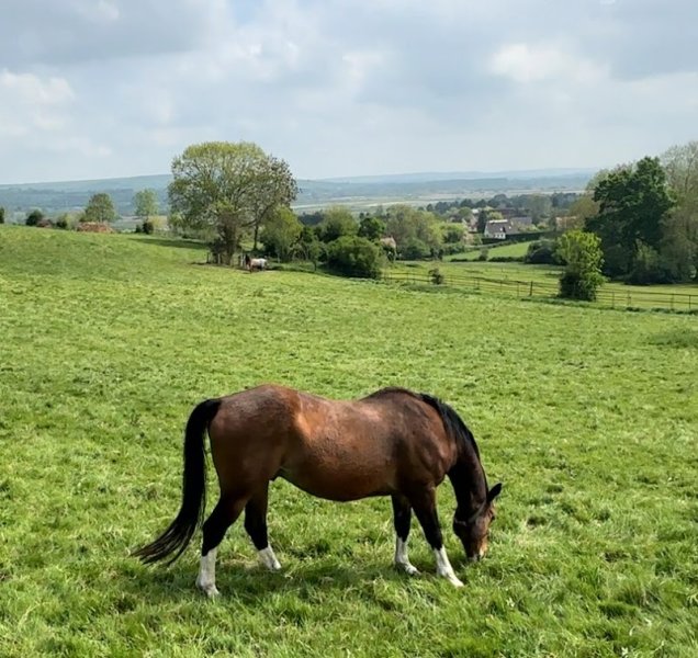 Les Ecuries de Lisors - photo 3