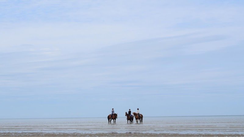 Ecuries Bellifontaines - photo 3