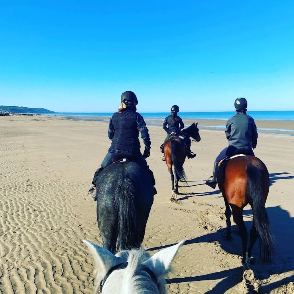 A 10 mn de Deauville Balade à cheval domaine de l'Atlas - photo 3