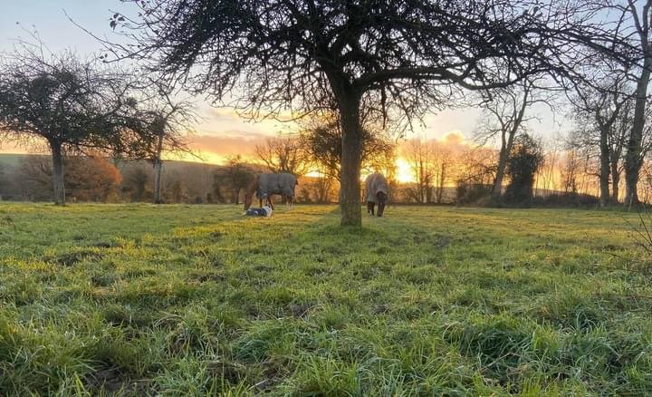 Les Écuries du Vloquier - photo 2