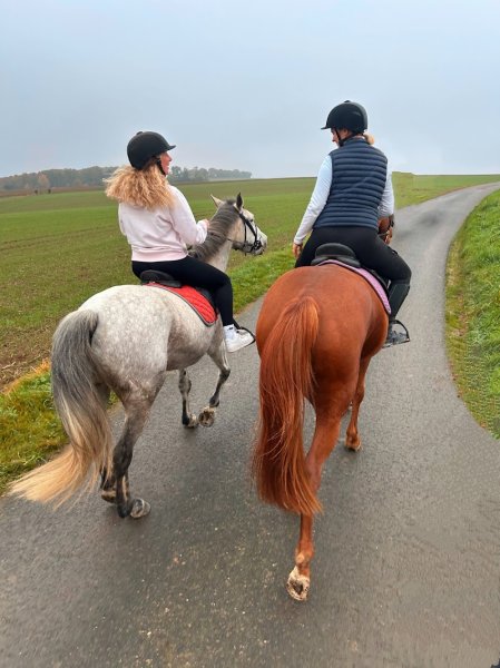 Centre Equestre des Pommiers - photo 3