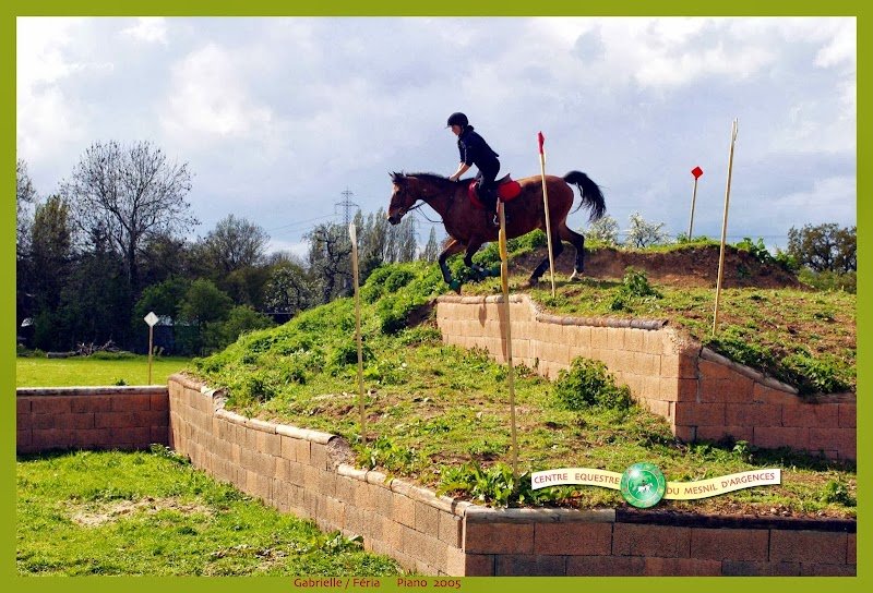 Centre équestre du Mesnil d'Argences - photo 2
