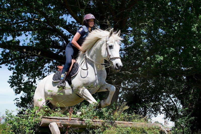 Centre équestre du Mesnil d'Argences - photo 3