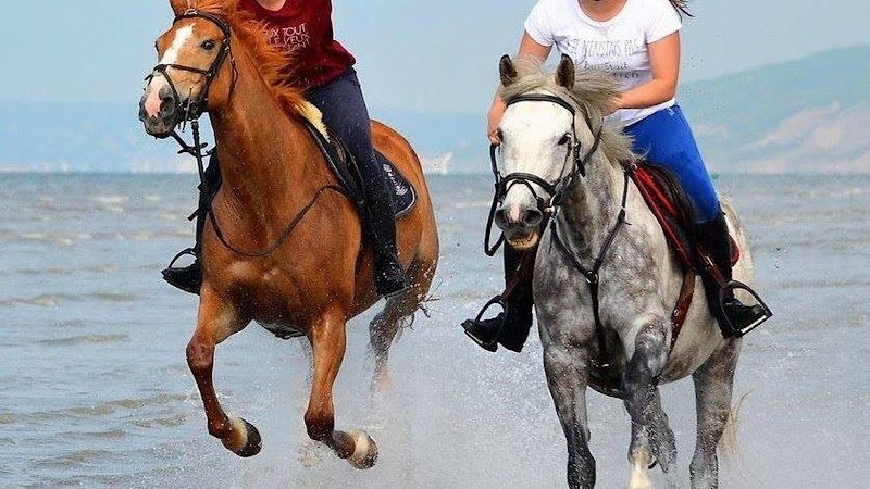 Pôle Equestre de Cabourg - La Sablonnière