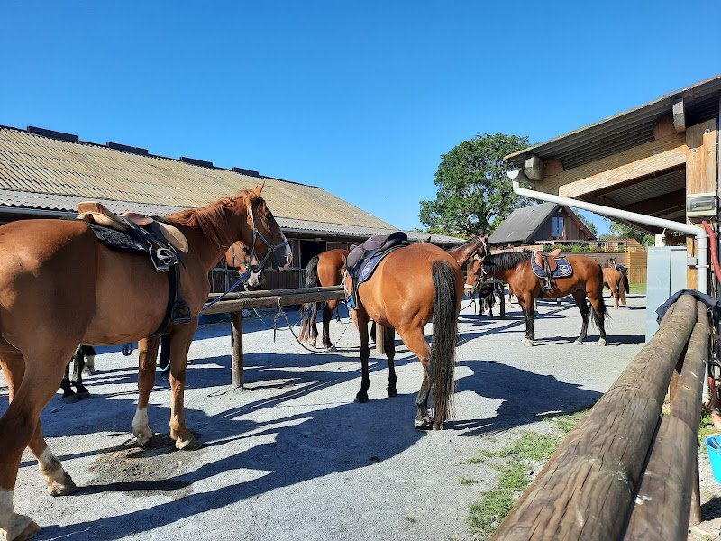 Pôle Equestre de Cabourg - La Sablonnière - photo 2