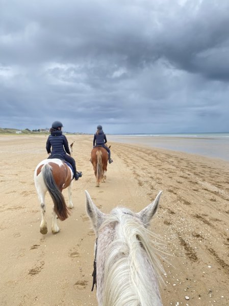 Pôle Equestre de Cabourg - La Sablonnière - photo 3
