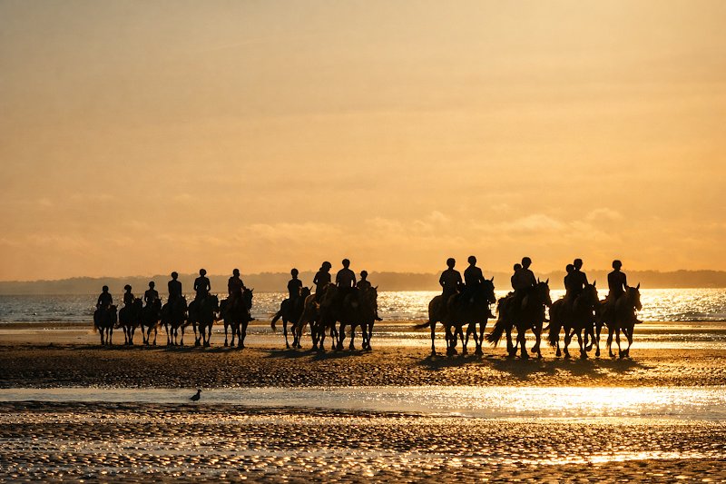Poney Club de Cabourg - le Home
