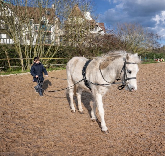 Poney Club de Cabourg - le Home - photo 2