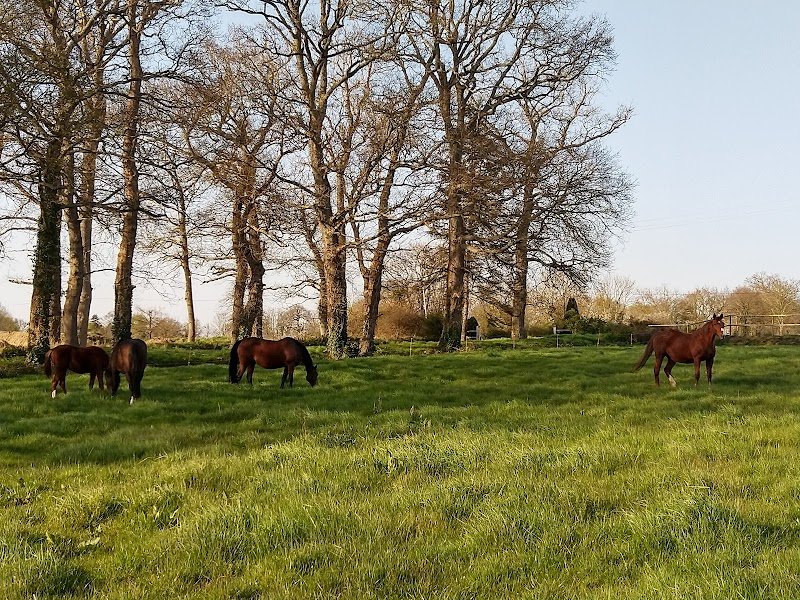 Haras de Saint-Blaize - photo 2