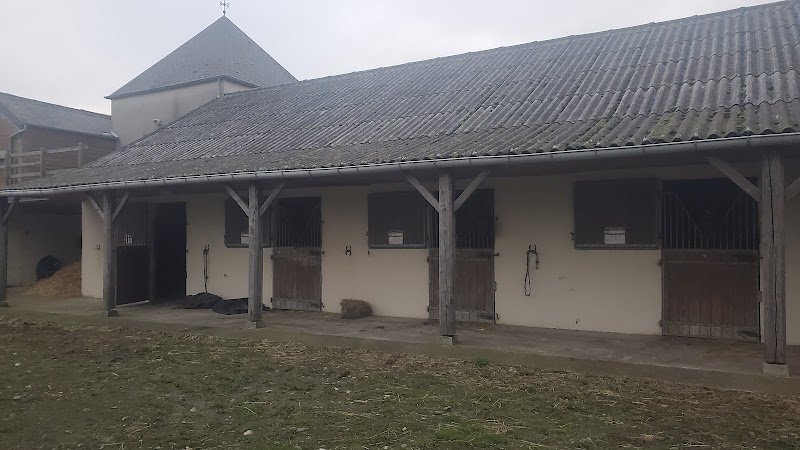 Ecurie Cali - photo 2