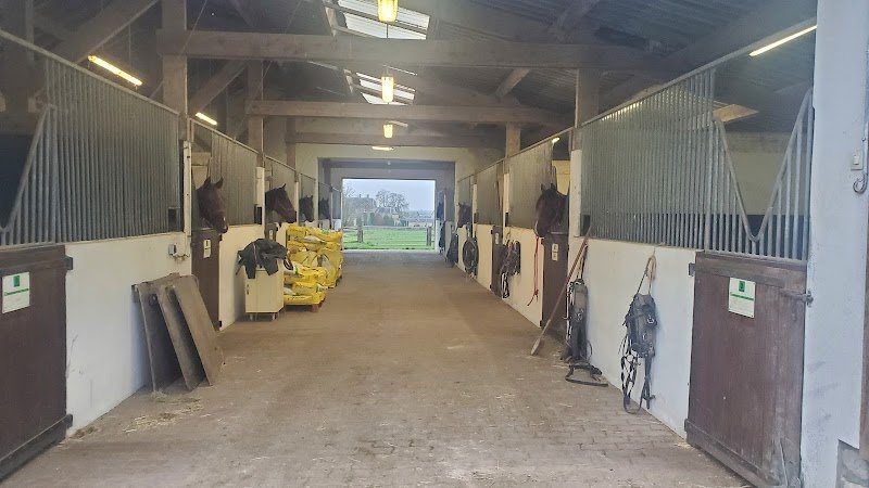 Ecurie Cali - photo 3