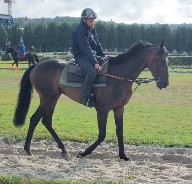 Ecurie de Courses - Gilles PANNIER - photo 3