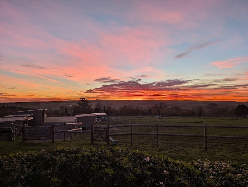 La Pension des Renards - photo 3