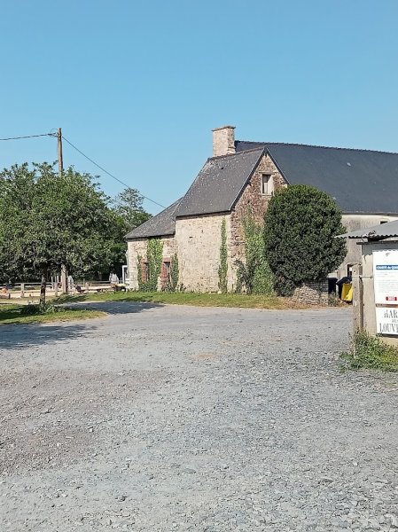 PONEY CLUB DES LOUVEAUX - photo 3