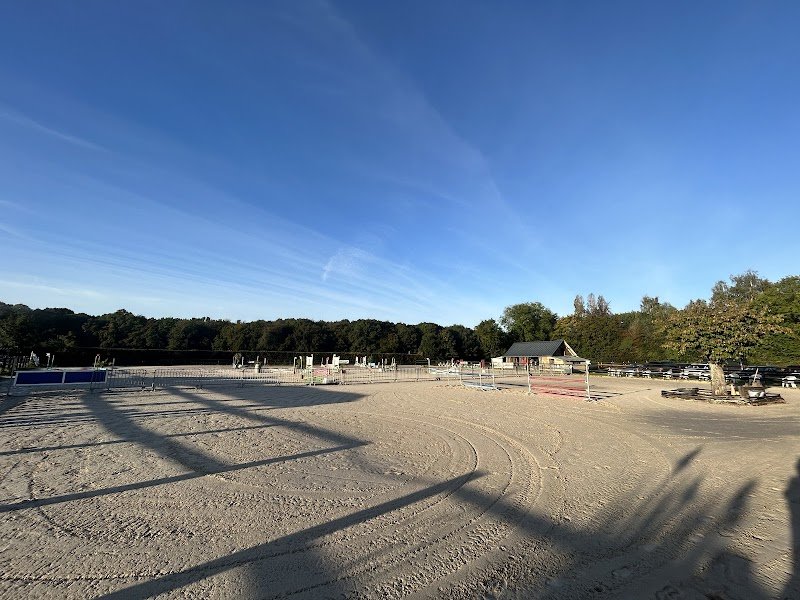 OPTIMUM HORSES - Olivier NICOLLE - photo 2