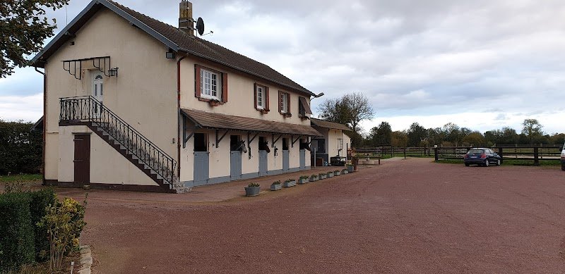 OPTIMUM HORSES - Olivier NICOLLE - photo 3