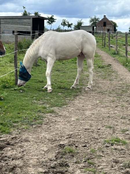 Domaine équestre de Belenos