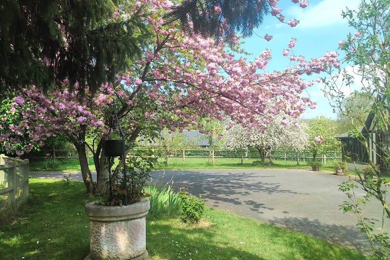 Jolly Farm Stables - photo 1