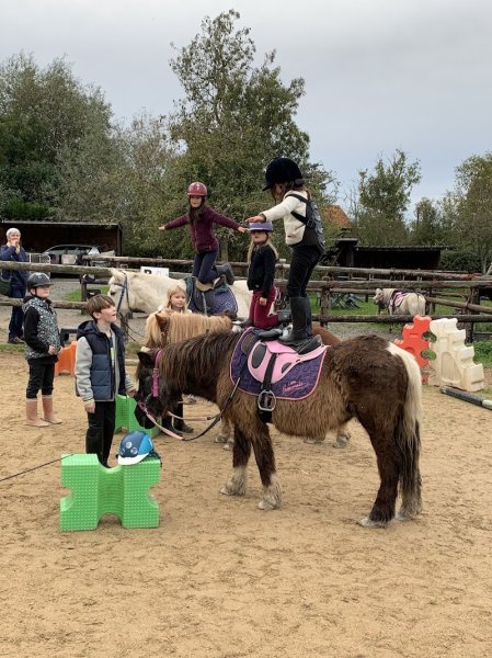 Ferme Équestre des Six Chemins - photo 2