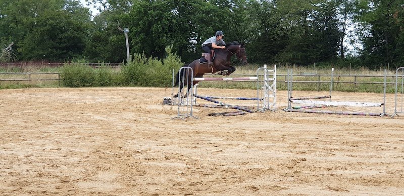Haras des Cépierres - photo 3