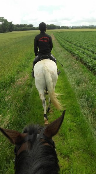 Ecuries d'la Ferranderie - photo 3