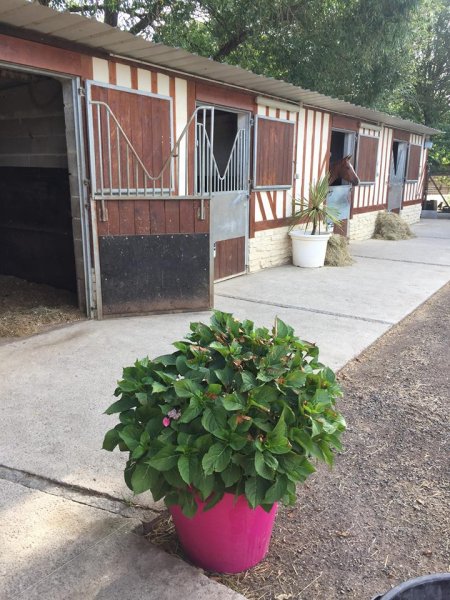 centre equestre des picotains