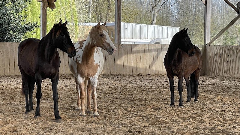 centre equestre des picotains - photo 3