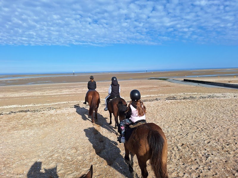 Ferme équestre Blin