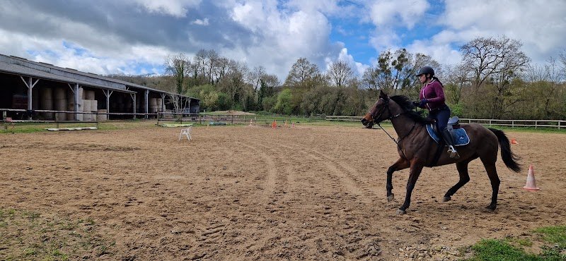 Ferme équestre Blin - photo 2