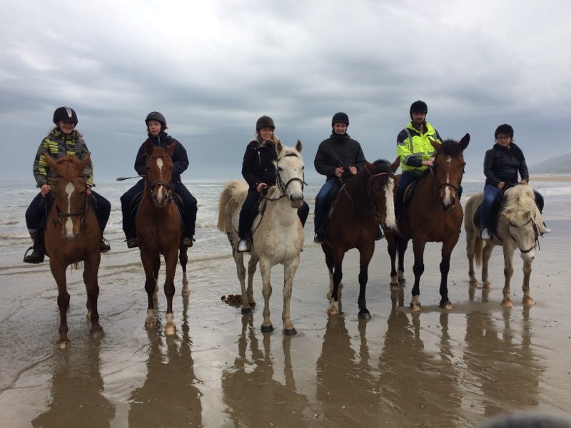Ferme équestre Blin - photo 3