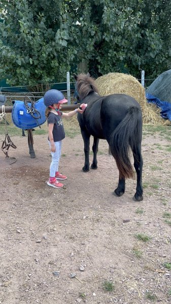 Poney club - photo 2