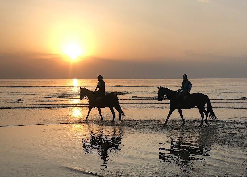 Centre Équestre de Blonville-sur-Mer - photo 2