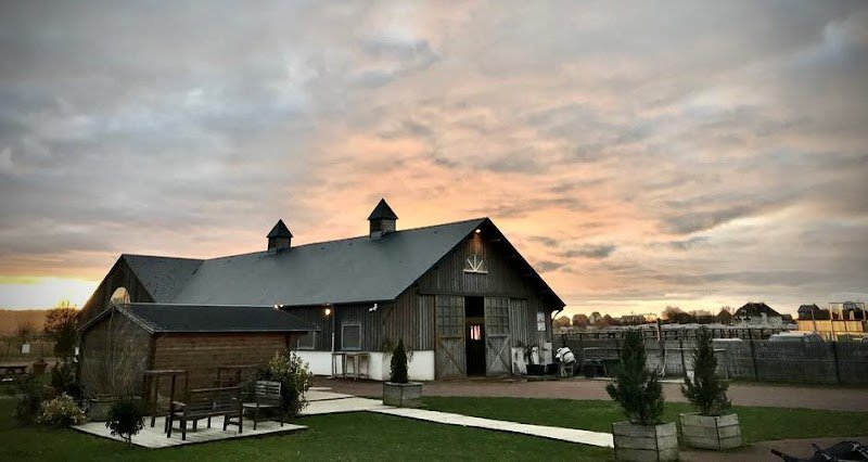 Centre Équestre de Blonville-sur-Mer - photo 3