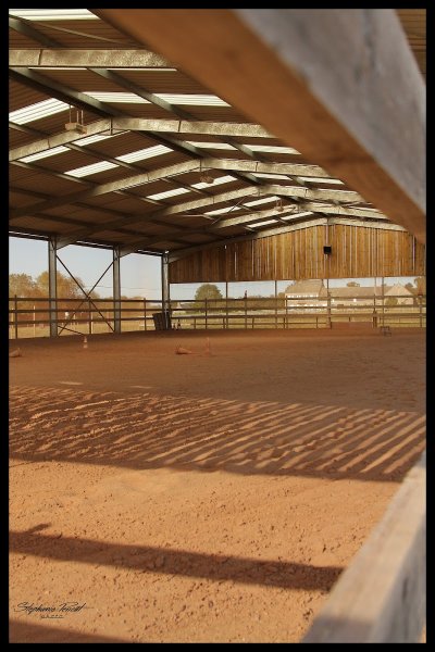 Normandy West Horse, Entreprise Individuelle - photo 3