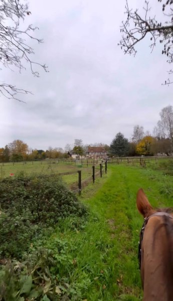 Ecurie Alexandra de la Morandière