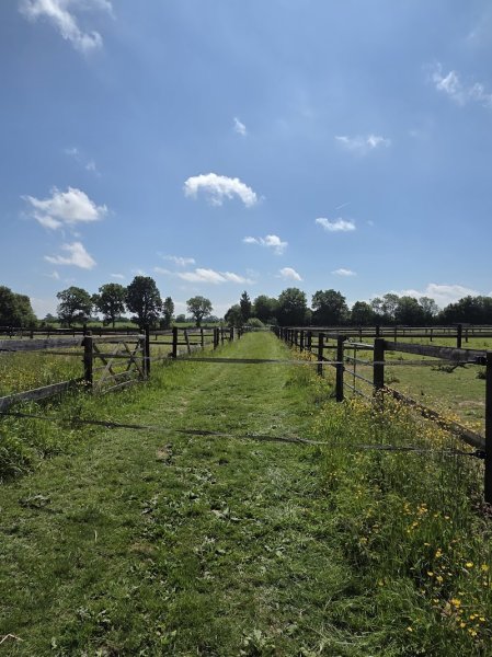 Ecurie Alexandra de la Morandière - photo 3