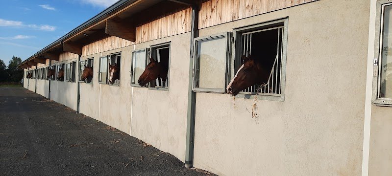 Haras Des Grands Chênes - photo 3