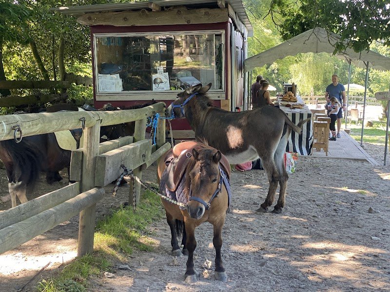 Poney Club Des Galopins