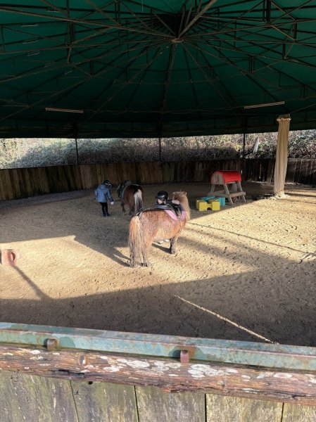 Poney Club Des Galopins - photo 3