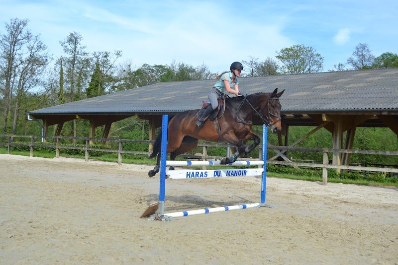 Haras du Manoir - photo 3