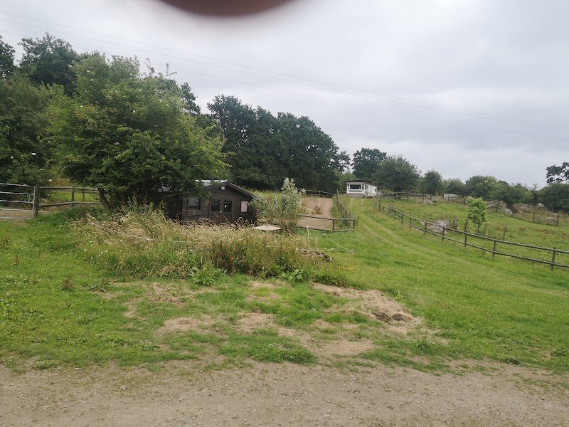 CENTRE EQUESTRE DE LA LYS - photo 3