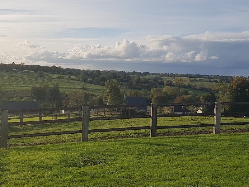 HARAS DE SAINT JEAN - photo 3