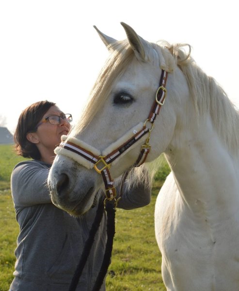 Cheval Mieux-Être Equithérapie - photo 1