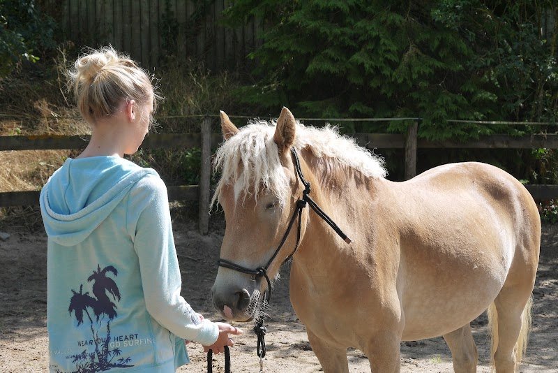 Cheval Mieux-Être Equithérapie - photo 2