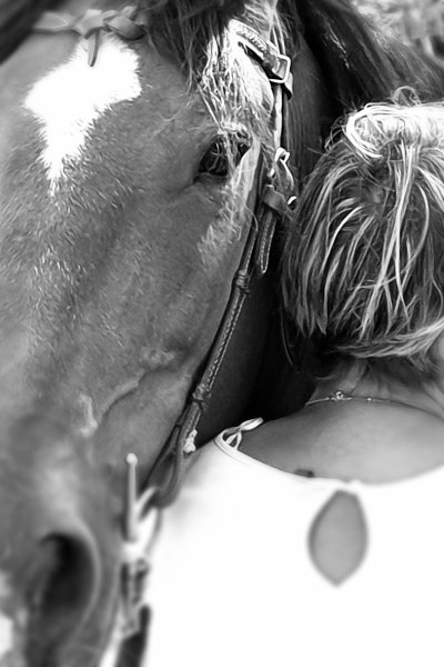 Cheval Mieux-Être Equithérapie - photo 3