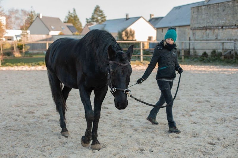 Zeugma - École d'équitation - A cheval avec sens - photo 2