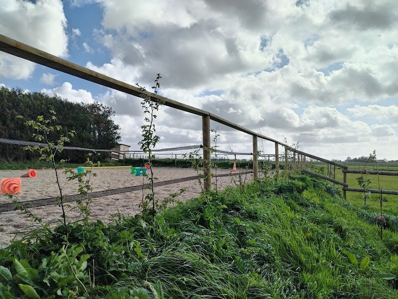 Zeugma - École d'équitation - A cheval avec sens - photo 3